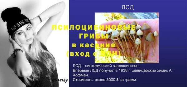 МДМА Осинники