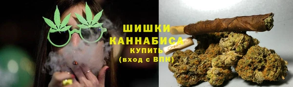 трава Няндома