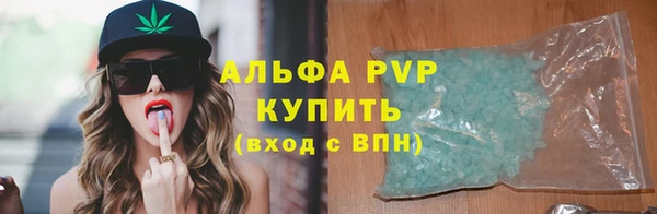 мдпв Осташков