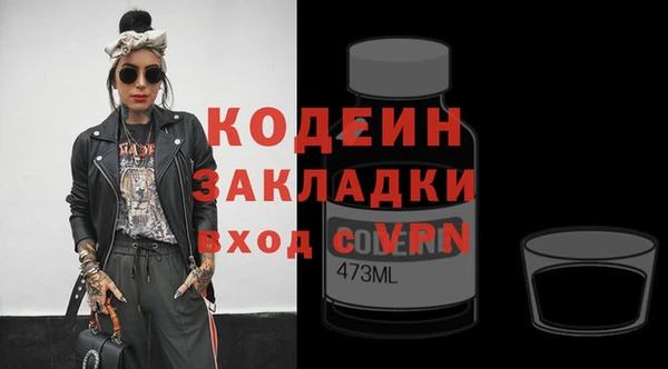 мдпв Осташков