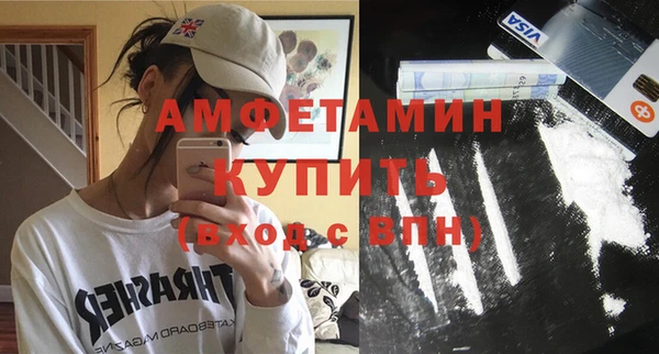 МДПВ Пересвет