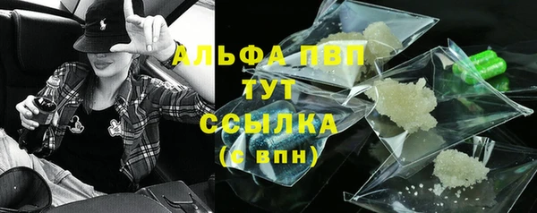 мдпв Осташков