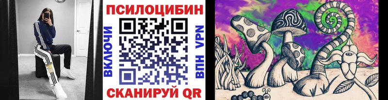 купить   KRAKEN ссылка  Псилоцибиновые грибы Psilocybine cubensis  Ленинградская 
